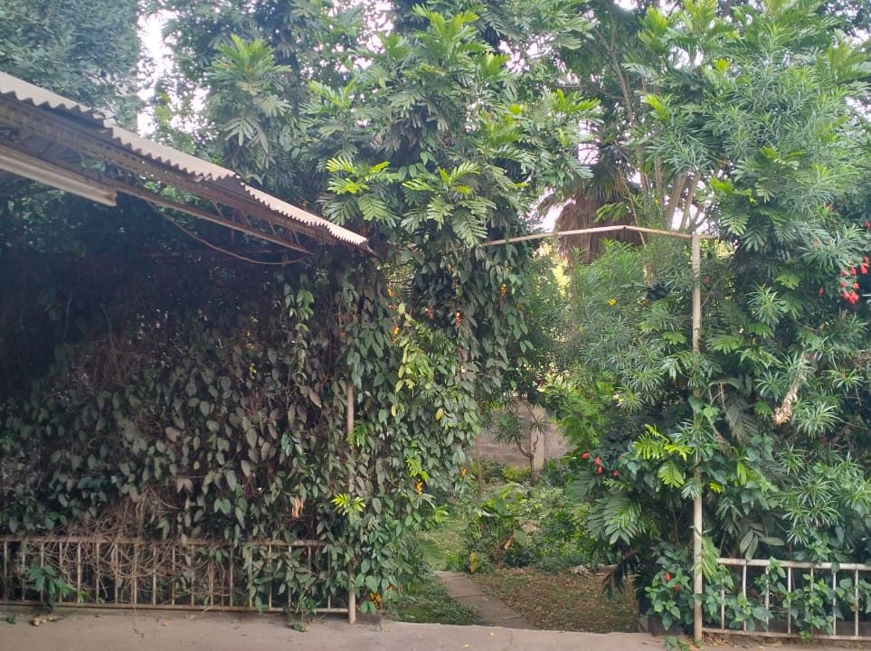 WhatsApp Image 2025-03-11 at 12.52.30_ed5481f5