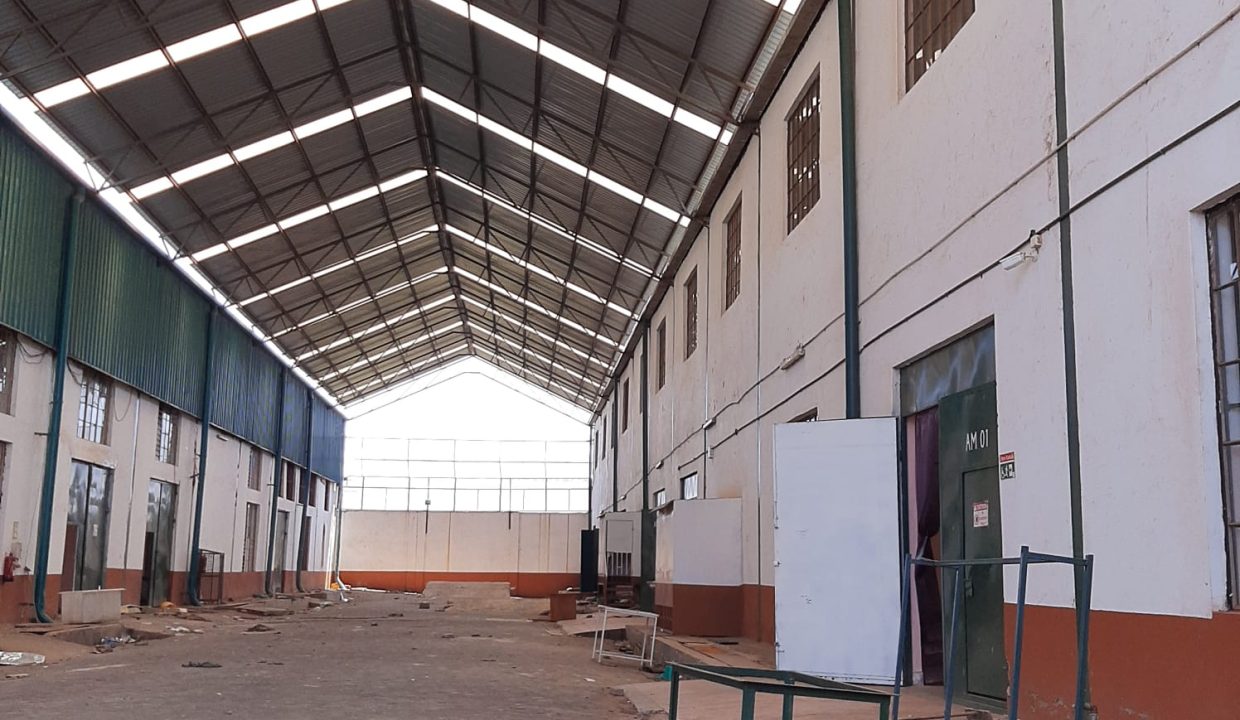 WhatsApp Image 2025-04-17 at 3.15.17 PM