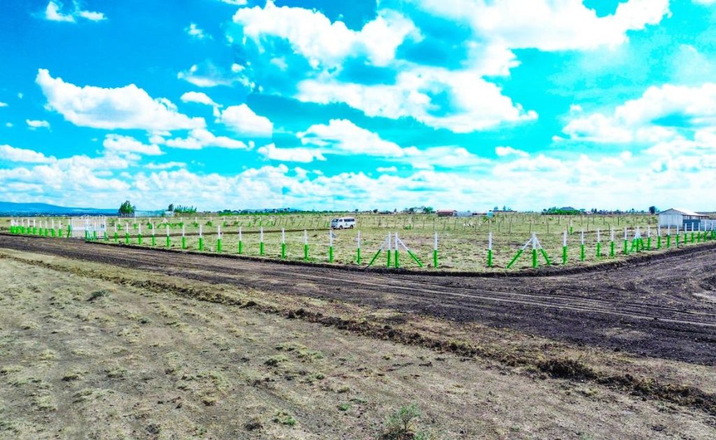 Plots for Sale in Kawaida